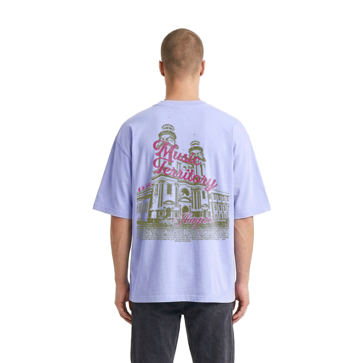 Camiseta, Ibagué